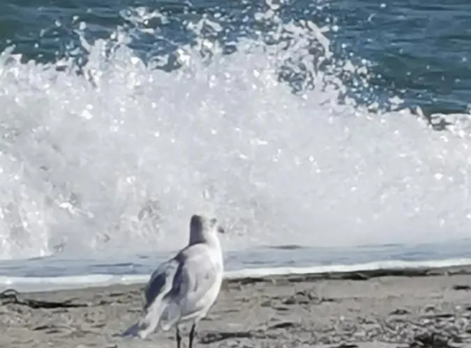 Apartamento Sdoukos Olympiakí Aktí